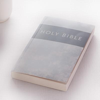 KJV Budget Softcover Silver Cover Image