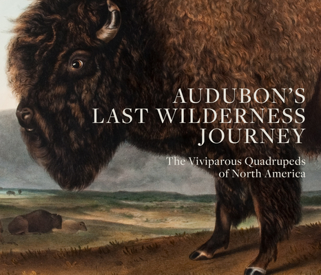 Audubon's Last Wilderness Journey: The Viviparous Quadrupeds of North America By Ron Tyler (Introduction by), Charles T. Butler (Editor), Dennis Harper (Contribution by) Cover Image