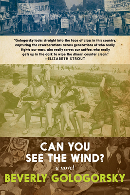 Can You See the Wind? Cover Image