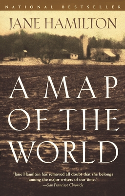 A Map of the World: A Novel