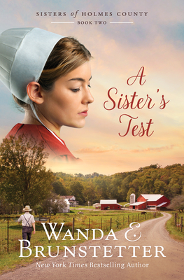A Sister's Test (Sisters of Holmes County #2) Cover Image