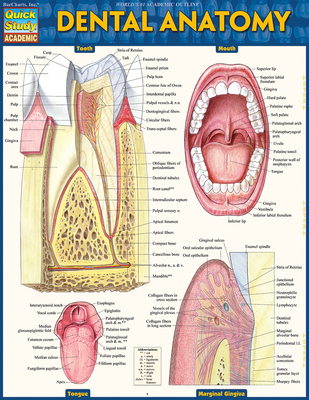 Dental Anatomy By Vincent Perez Cover Image