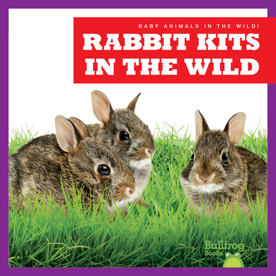 Rabbit Kits in the Wild Cover Image