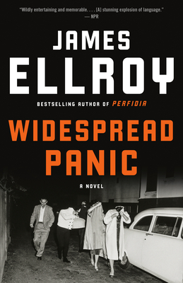 Widespread Panic: A novel