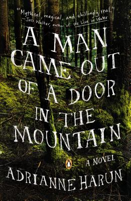 Cover for A Man Came Out of a Door in the Mountain