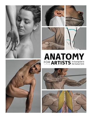Anatomy for Artists: A Visual Guide to the Human Form By Publishing 3dtotal (Editor) Cover Image