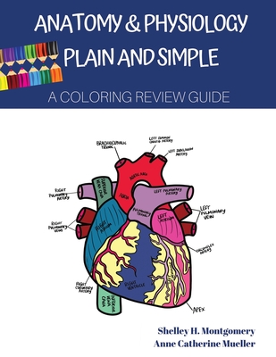 Anatomy & Physiology Plain and Simple: A Coloring Review Guide Cover Image