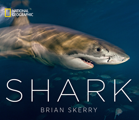 Shark By Brian Skerry (Photographs by) Cover Image