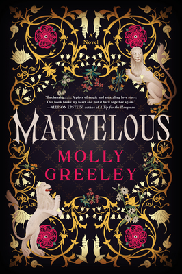 Marvelous: A Novel of Wonder and Romance in the French Royal Court Cover Image