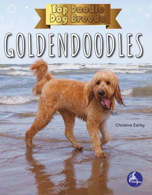 Goldendoodle Names  The Top 117 Most Popular