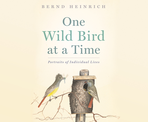Cover for One Wild Bird at a Time