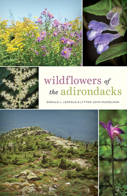 Wildflowers of the Adirondacks By Donald J. Leopold, Lytton John Musselman Cover Image
