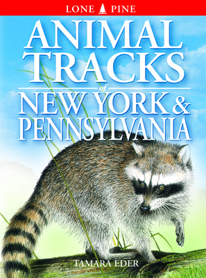 Animal Tracks of New York & Pennsylvania By Tamara Eder, Gary Ross (Illustrator), Ted Nordhagen (Illustrator) Cover Image