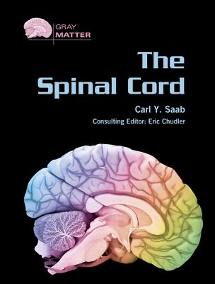 The Spinal Cord (Gray Matter)
