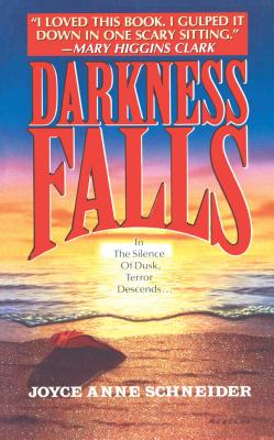 DARKNESS FALLS By Joyce Anne Schneider Cover Image