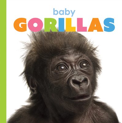 Baby Gorillas (Starting Out)