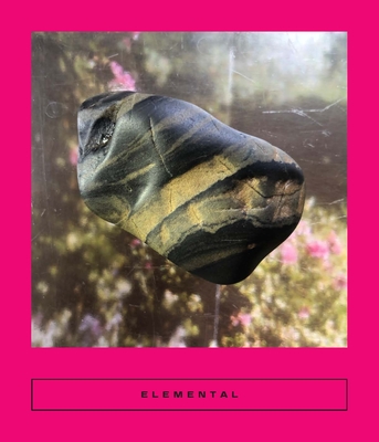 Elemental: Earth Stories By Sarah Coolidge (Editor), Erika Kobayashi, Farkhondeh Aghaei Cover Image