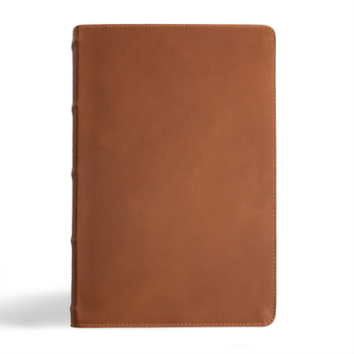 CSB Men's Daily Bible, Brown Genuine Leather, Indexed By Robert Wolgemuth (Editor), CSB Bibles by Holman (Editor) Cover Image