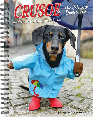 Crusoe the Celebrity Dachshund 2025 X Engagement Calendar