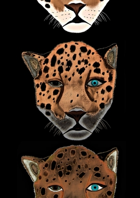 Mindbook: Jaguars Cover Image