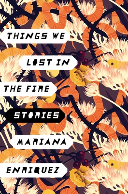 Things We Lost in the Fire: Stories Cover Image