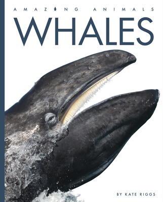 Whales (Amazing Animals) Cover Image