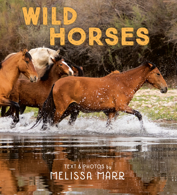 Wild Horses By Melissa Marr, Melissa Marr (Photographs by) Cover Image