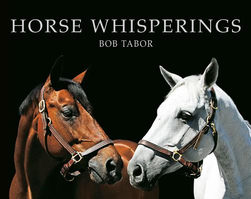 Horse Whisperings (Small Format): Portraits by Bob Tabor Cover Image