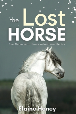 The Lost Horse - Book 6 in the Connemara Horse Adventure Series for Kids By Elaine Heney Cover Image
