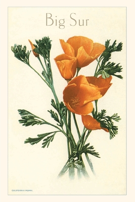 The Vintage Journal California Poppy, Big Sur Cover Image
