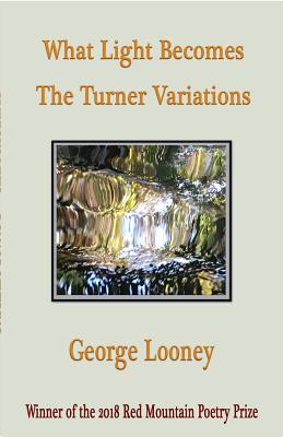 What Light Becomes: The Turner Variations By George Looney Cover Image
