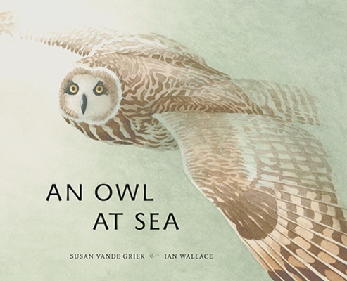 An Owl at Sea Cover Image