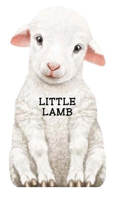 Little Lamb (Mini Look at Me Books)
