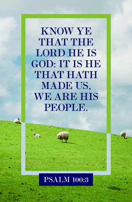 We Are His People  Bulletin (Pkg 100) General Worship By Broadman Church Supplies Staff (Contributions by) Cover Image