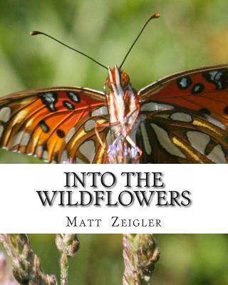 Into The Wildflowers Cover Image