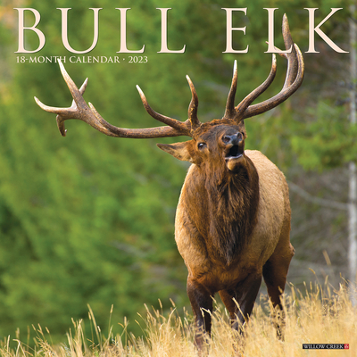 Bull Elk 2023 Wall Calendar By Willow Creek Press Cover Image