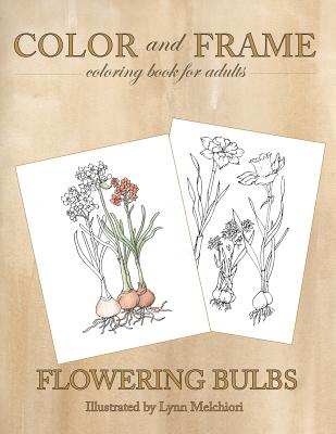 Color and Frame: Flowering Bulbs Cover Image
