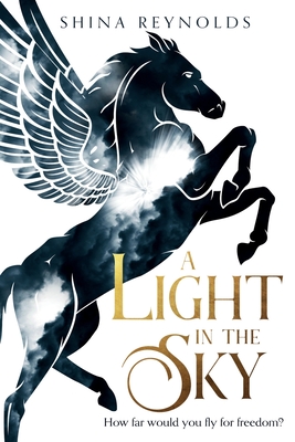 A Light in the Sky Cover Image