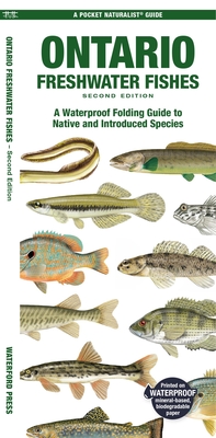 Ontario Fishes: A Folding Pocket Guide to All Known Native and Introduced Freshwater Species (Pocket Naturalist Guide)
