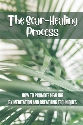 The Scar-Healing Process: How To Promote Healing By Meditation And Breathing Techniques: Importance Of Natural Therapies Cover Image