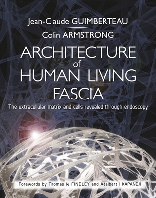 Architecture of Human Living Fascia: The Extracellular Matrix and Cells Revealed Through Endoscopy Cover Image
