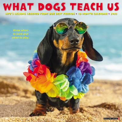 What Dogs Teach Us 2023 Wall Calendar By Willow Creek Press Cover Image