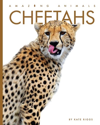 Cheetahs (Amazing Animals) Cover Image