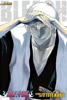 BLEACH Manga Volume 3