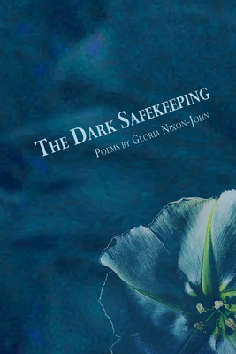 The Dark Safekeeping By Gloria Nixon-John Cover Image