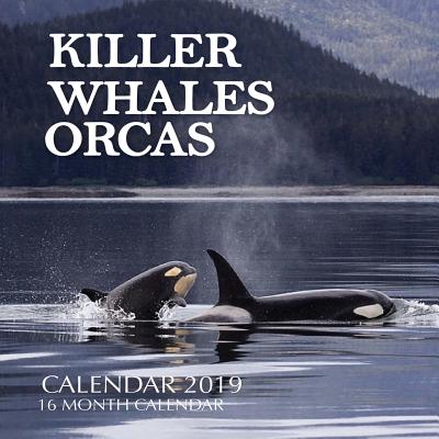 Killer Whales Orcas Calendar 2019: 16 Month Calendar Cover Image