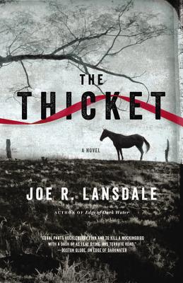 The Thicket By Joe R. Lansdale, Will Collyer (Read by) Cover Image