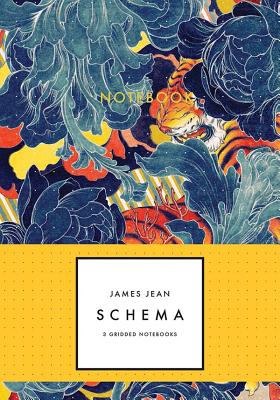 James Jean: Schema Notebook Collection (Notebooks for Designers, Gridded Notebook Sets, Artist Notebooks): 3 Gridded Notebooks Cover Image