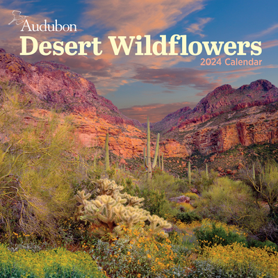 Audubon Desert Wildflowers Wall Calendar 2024: A Visual Delight for Nature Lovers By Workman Calendars, National Audubon Society Cover Image