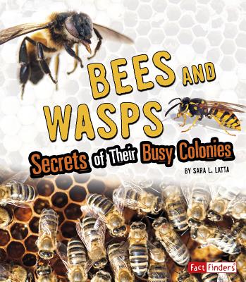 Bees and Wasps: Secrets of Their Busy Colonies By Sara L. Latta Cover Image